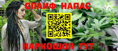 стафф Брянск