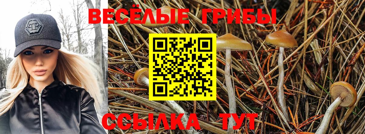 Псилоцибиновые грибы прущие грибы  Вход с VPN  Выборг 