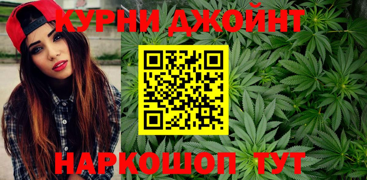 Конопля сатива Выборг